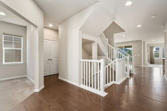 4272 Lyric Falls Dr in Loveland, CO - Building Photo - Building Photo