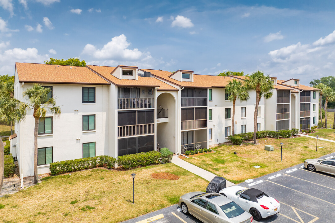 Pine Ridge at Palm Harbor in Palm Harbor, FL - Foto de edificio