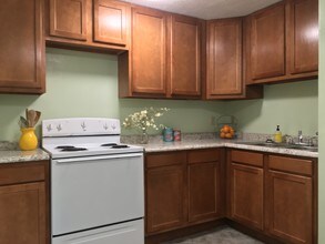 715 Triphammer Rd in Ithaca, NY - Building Photo - Building Photo