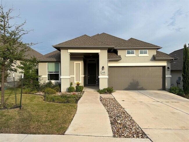 441 Saturnia Dr in Georgetown, TX - Building Photo - Building Photo