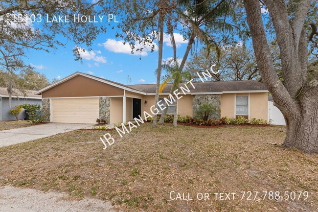15103 Lake Holly Pl in Tampa, FL - Building Photo - Building Photo