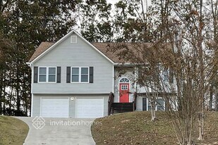 1041 Wellspring Ct in Flowery Branch, GA - Building Photo