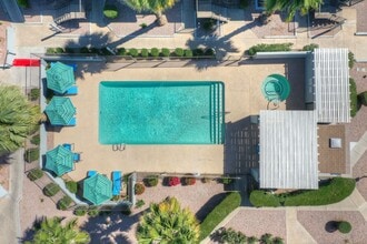 North Mountain Apartments in Phoenix, AZ - Foto de edificio - Building Photo