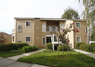 Arcadian in Concord, CA - Foto de edificio - Building Photo