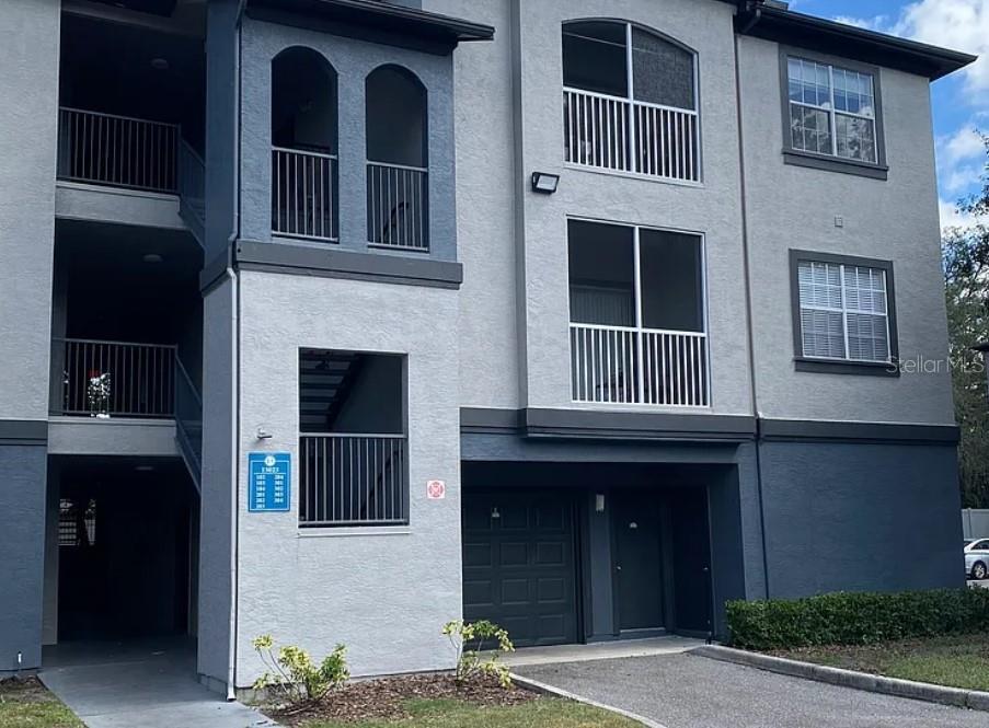 13023 Sanctuary Cove Dr in Temple Terrace, FL - Building Photo