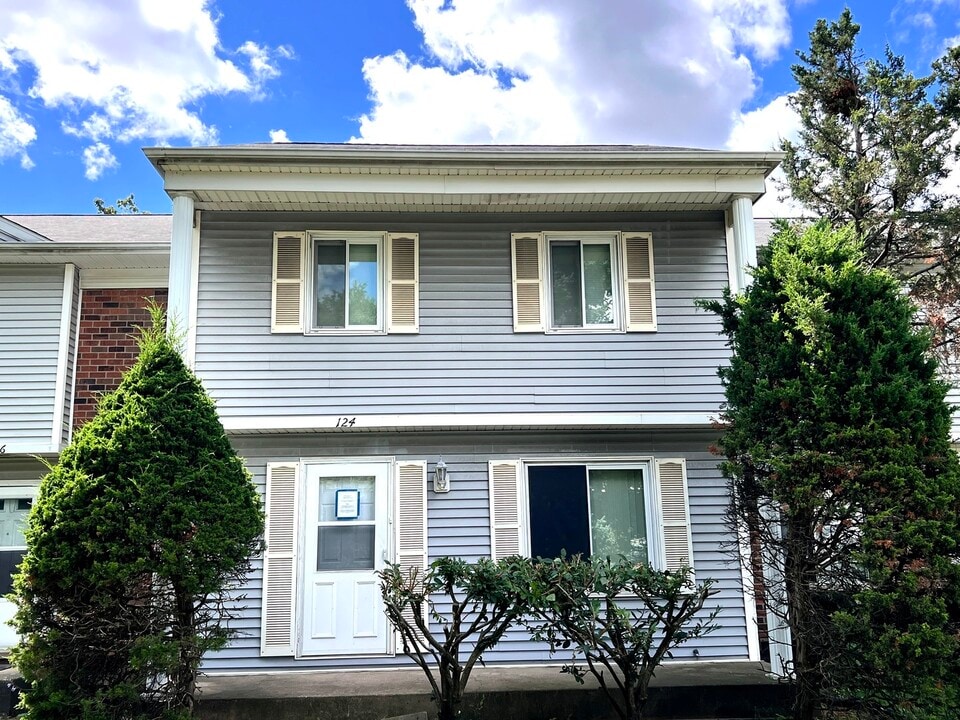 124 Somerset Ln in Bolingbrook, IL - Building Photo