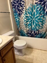 725 Chestnut St, Unit 5 in Erie, PA - Building Photo - Building Photo