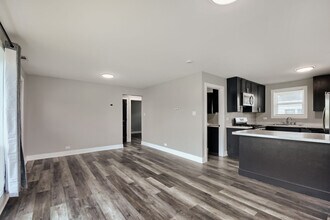 17610 Dixie Hwy in Homewood, IL - Building Photo - Building Photo