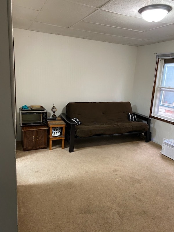 1139 State St, Unit 02 in La crosse, WI - Building Photo - Building Photo