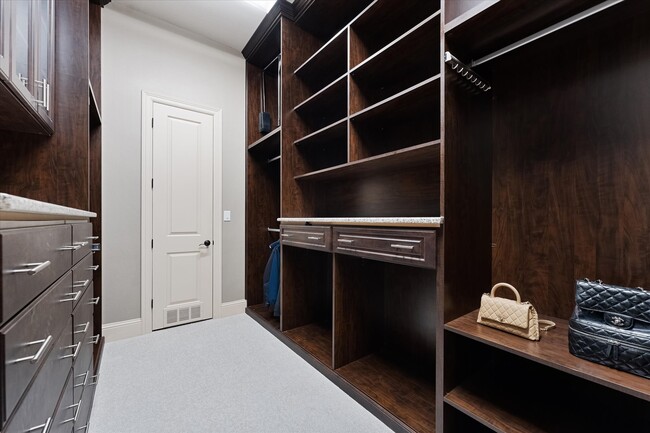 property at 19 Paloma Bend Pl