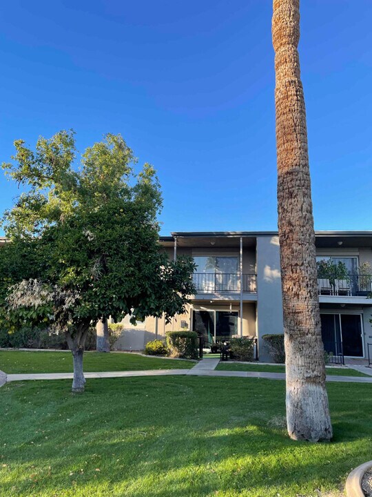 4384 N 36th St in Phoenix, AZ - Building Photo