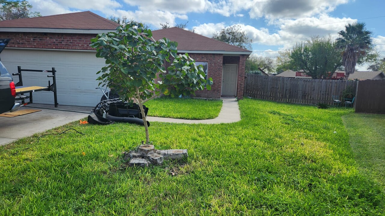 2402 Sierra Ct in Mission, TX - Building Photo