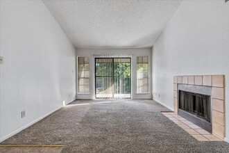 8824 Old McGregor Rd in Woodway, TX - Building Photo - Building Photo