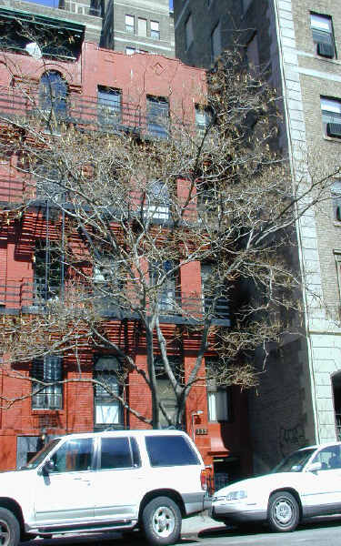 333 W 29th St in New York, NY - Building Photo - Building Photo