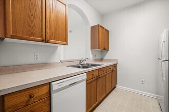 8101 Coconut Palm Way in Kissimmee, FL - Building Photo - Building Photo