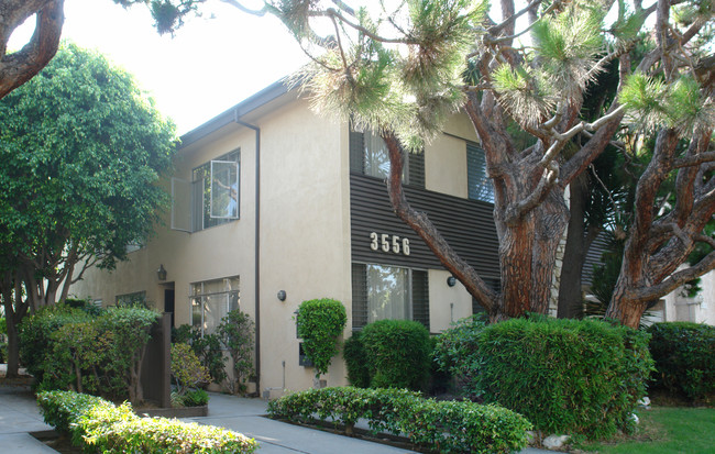 3556 Keystone Ave in Los Angeles, CA - Foto de edificio - Building Photo