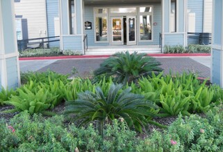 Oak Tree Manor Apartments in Houston, TX - Building Photo - Building Photo