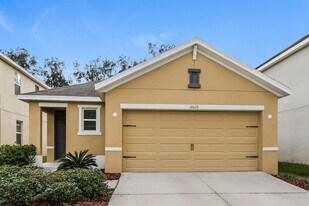 10125 Geese Trail Cir in Ruskin, FL - Building Photo