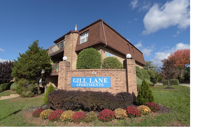 Gill Lane