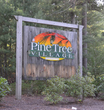 Pine Tree Village in Carver, MA - Foto de edificio - Building Photo