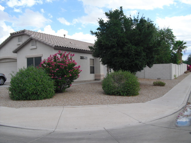 2925 S 93rd Pl in Mesa, AZ - Building Photo