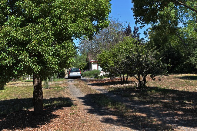 6490 Lone Pine Rd in Sebastopol, CA - Building Photo - Building Photo