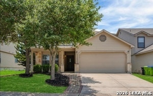 13026 Cipresso Palco