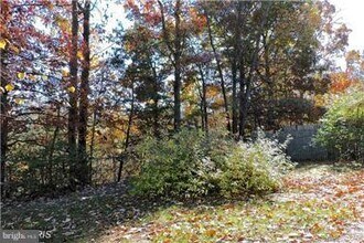 158 Country Park Dr in Winchester, VA - Building Photo - Building Photo