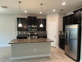 923 Terra Vista St in Brandon, FL - Building Photo