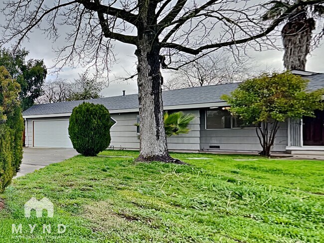 property at 3536 Domich Way