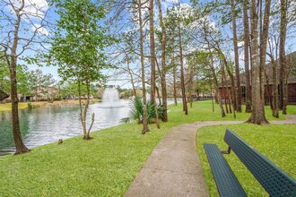 31114 Lakeview Bend Ln in Spring, TX - Building Photo - Building Photo
