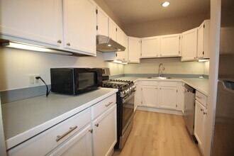 11 Worcester St, Unit 2 in Boston, MA - Building Photo - Building Photo