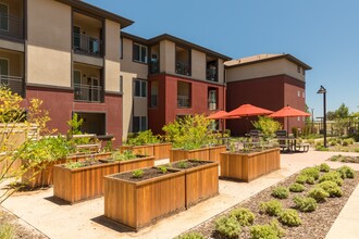 Antioch Family and Senior Apartments in Antioch, CA - Building Photo - Building Photo