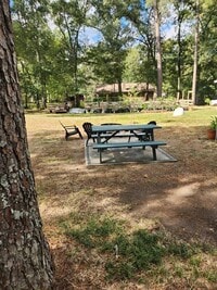 14519 Oakleaf Dr photo'