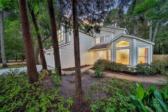 35 Shallow Pond Pl in Spring, TX - Building Photo - Building Photo