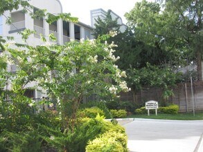 1441 East St in Houston, TX - Building Photo - Building Photo