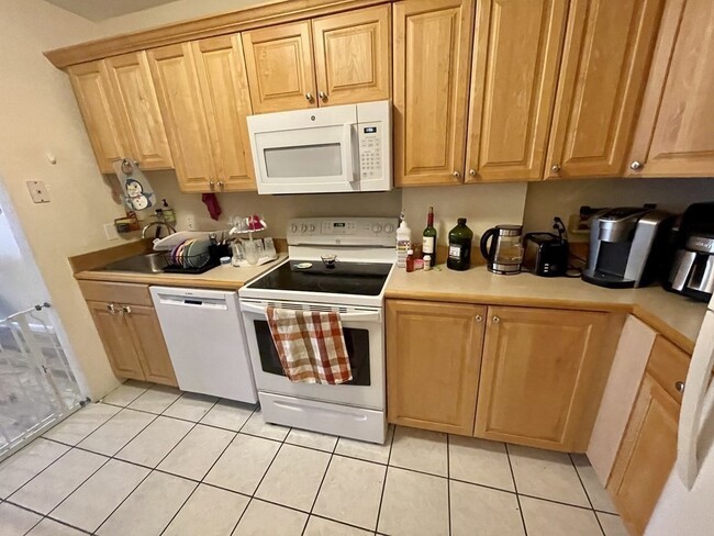 100 Marion St, Unit B in Brookline, MA - Building Photo - Building Photo