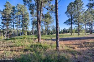 2731 W Villa Loop in Show Low, AZ - Building Photo - Building Photo