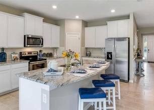 2512 Chapel Oak Bnd in Wesley Chapel, FL - Building Photo - Building Photo
