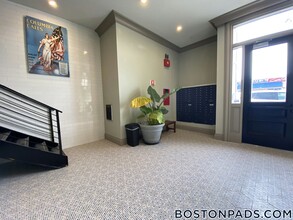 1258 Massachusetts Ave in Boston, MA - Building Photo - Building Photo