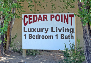 Cedar Point Apartments in Albuquerque, NM - Building Photo - Building Photo