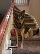 819 Donovan Ave in Bellingham, WA - Building Photo - Building Photo