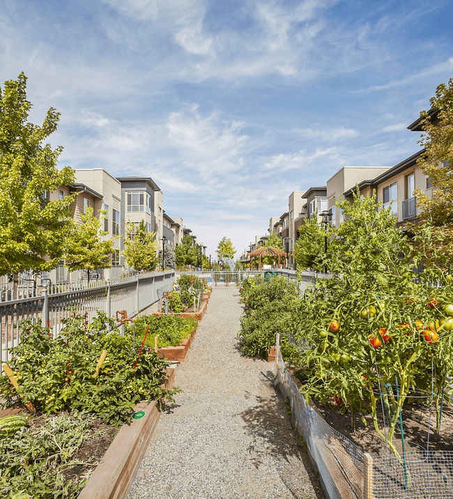 The Aster Conservatory Green in Denver, CO - Building Photo - Building Photo