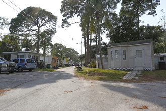 Safety Harbor Park in Safety Harbor, FL - Building Photo - Building Photo