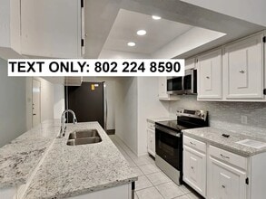 19 S White Pebble Ct in Spring, TX - Building Photo - Building Photo
