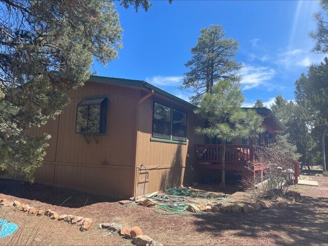 2939 Paint Pony Ln in Heber, AZ - Building Photo - Building Photo