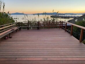 869 Ocean Ave in Richmond, CA - Building Photo - Building Photo