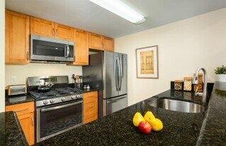 41 Sherman Rd, Unit 1 in Chestnut Hill, MA - Building Photo