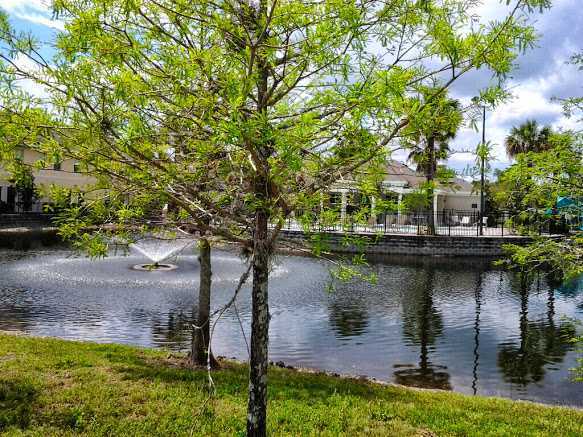 10142 Regent Square Dr in Orlando, FL - Building Photo - Building Photo