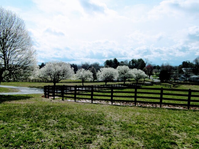 20036 Cole Ln in Bristol, VA - Building Photo - Building Photo